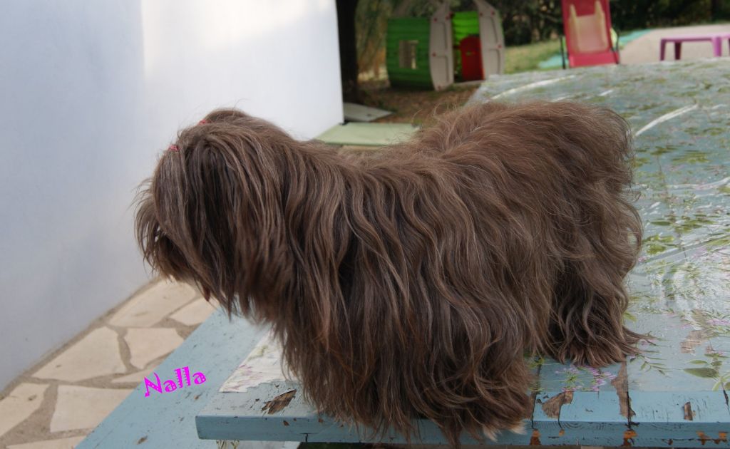 Publication : de la vallée du rêve Auteur : eD.