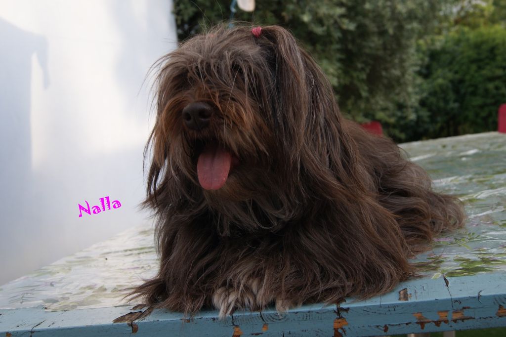 Publication : de la vallée du rêve Auteur : eD.