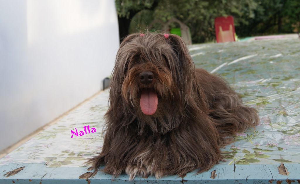 Publication : de la vallée du rêve Auteur : eD.