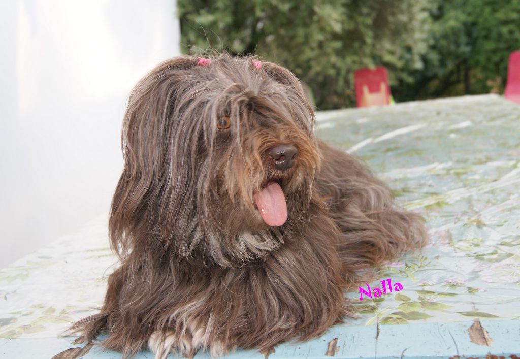 Publication : de la vallée du rêve Auteur : eD.