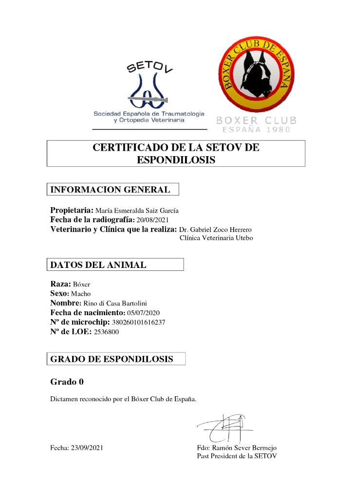 CH. Rino di casa bartolini
