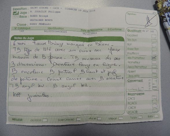 CH. Lolita i De Cans D'aragon - Três Prometteur