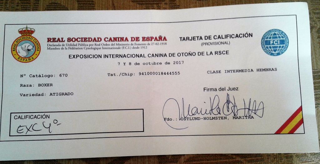 CH. Lolita i De Cans D'aragon - Exc 4ª Classifiqué