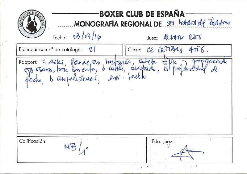 CH. Lolita i De Cans D'aragon - Muy bueno 4ª (Très Prometteur)
