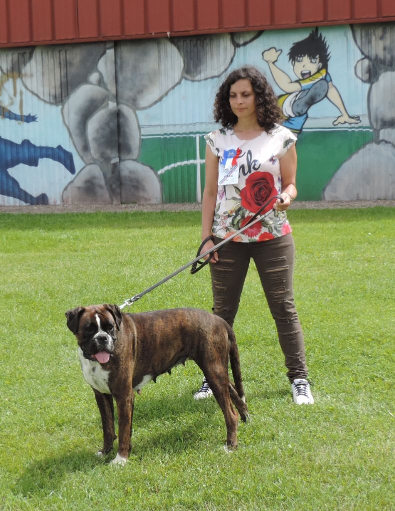 CH. Lolita i De Cans D'aragon - EXC 1 CAC