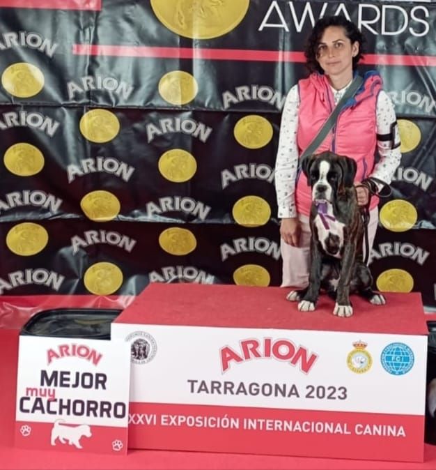 CH. Kira De Las Viudas Negras - Très Prometeur 1º et Meilleur Baby de sa Race