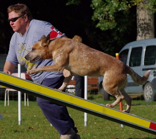 Publication : De La Horde Magique