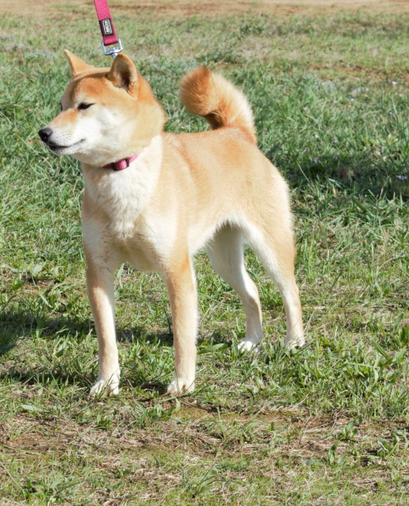 Omy Rakuen Oka