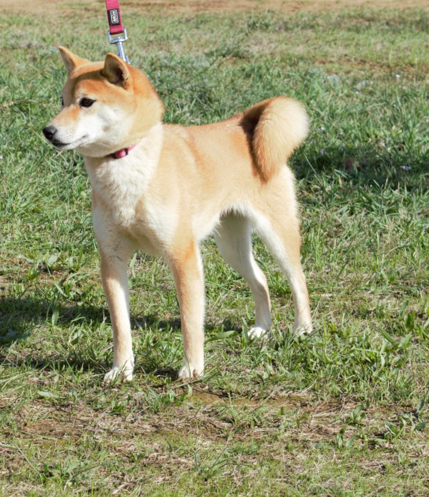 Omy Rakuen Oka