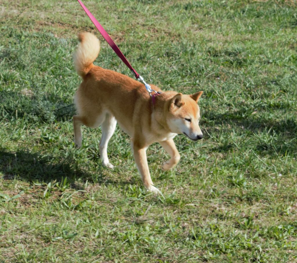 Omy Rakuen Oka
