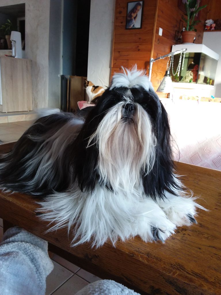 Publication : Des Merveilles Du Mas Auteur : Brunet Maryse