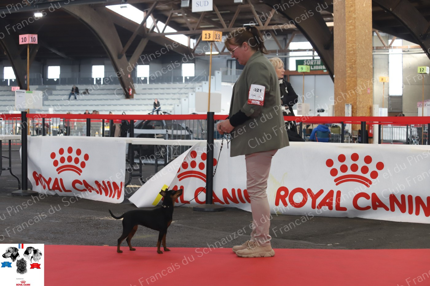 Umee The Sweet Dream Of Cristale - 3 ieme excellent