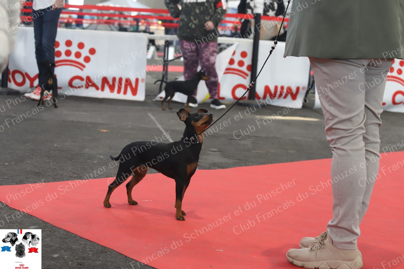 Umee The Sweet Dream Of Cristale - 4 ieme trés bon