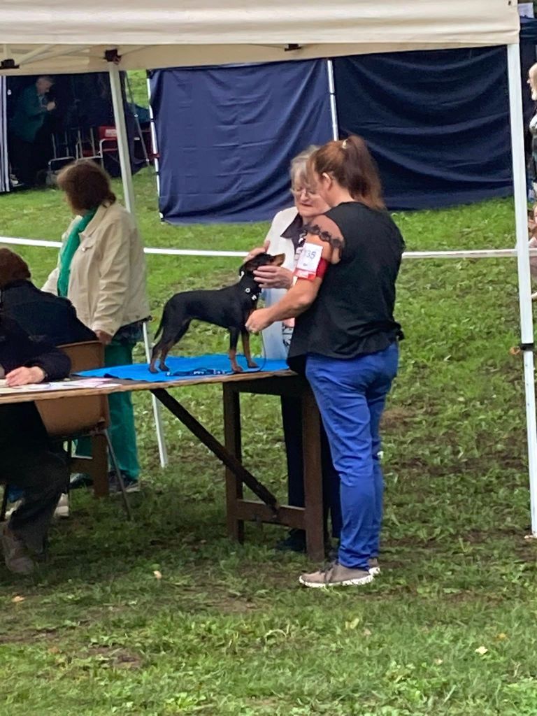 Umee The Sweet Dream Of Cristale - 1 ier excellent CACS Meilleur de Race