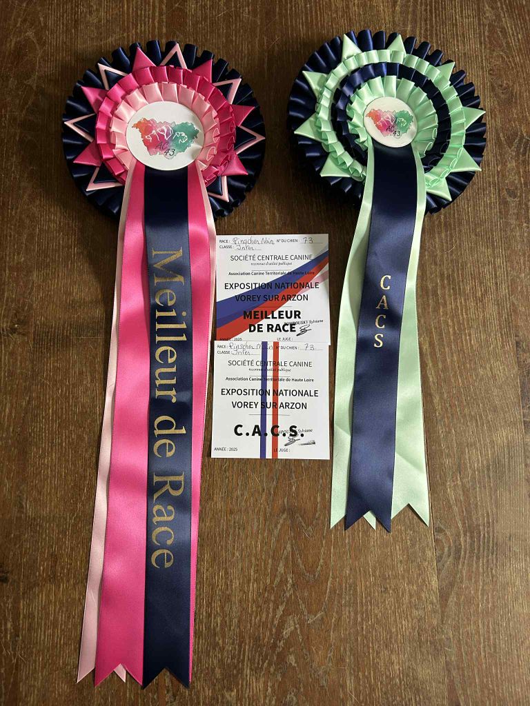 Umee The Sweet Dream Of Cristale - CACS MEILLEUR DE RACE