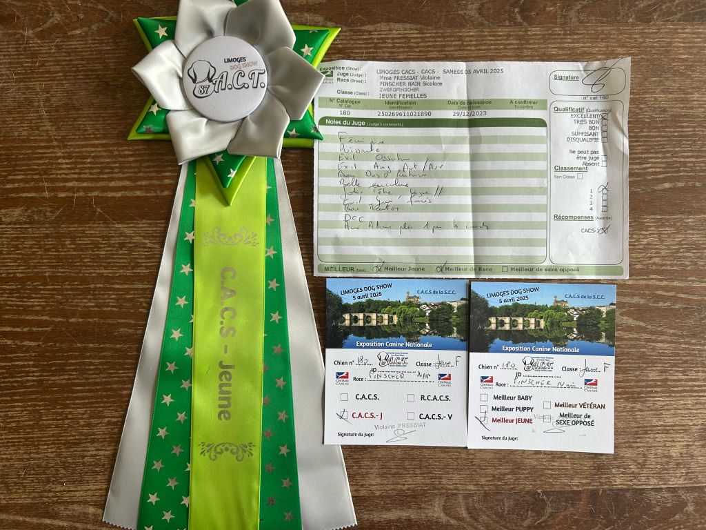 Umee The Sweet Dream Of Cristale - CACS jeune et meilleur de race