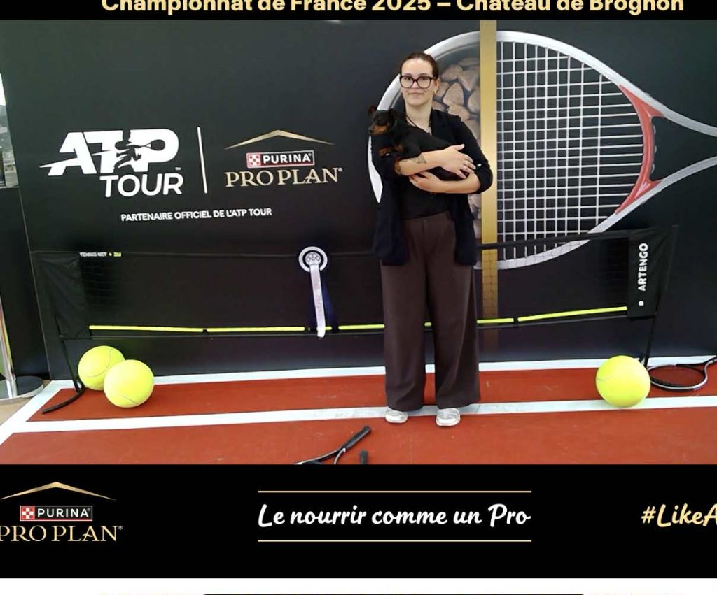 Umee The Sweet Dream Of Cristale - 2 ieme excellent