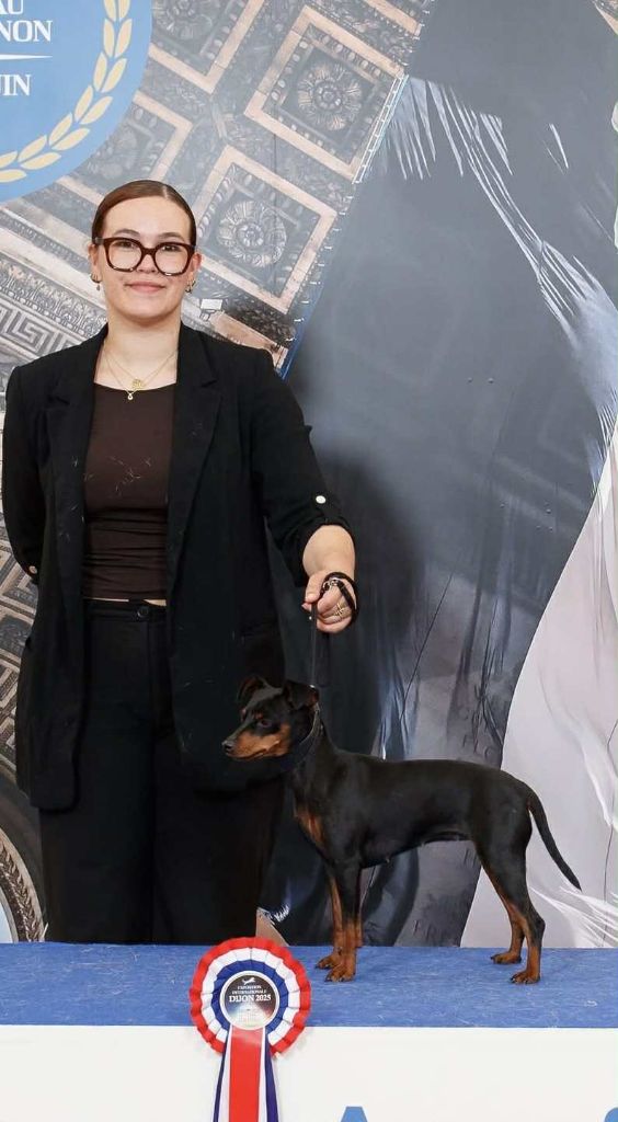 Umee The Sweet Dream Of Cristale - 2 ieme excellent