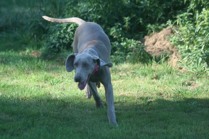 Publication : De Fantaisie De Kerma Auteur : fantaisie de kerma