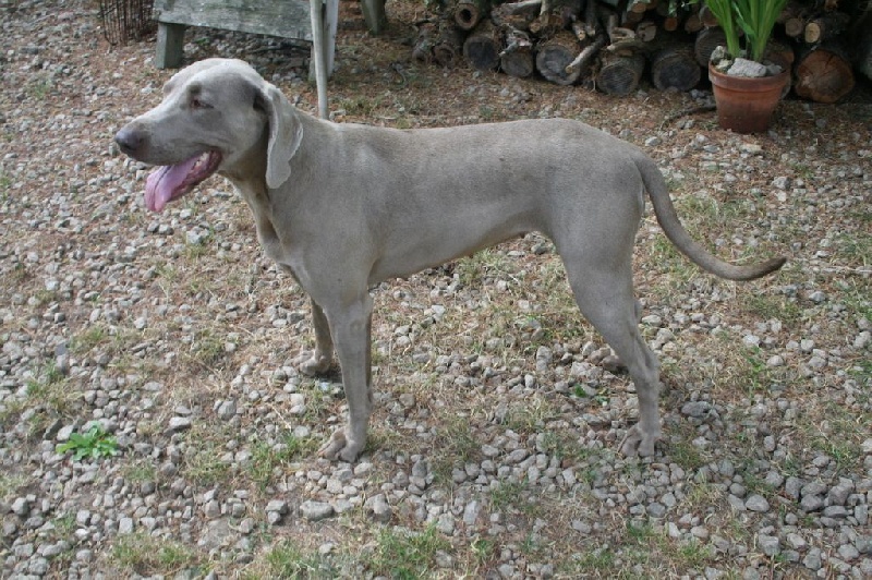 Publication : De Fantaisie De Kerma Auteur : fantaisie de kerma