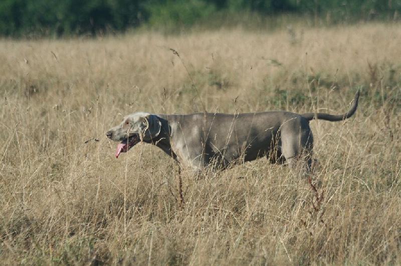 Publication : De Fantaisie De Kerma Auteur : fantaisie de kerma