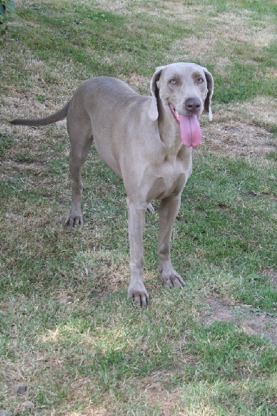 Publication : De Fantaisie De Kerma Auteur : fantaisie de kerma