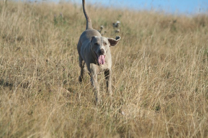 Publication : De Fantaisie De Kerma Auteur : fantaisie de kerma