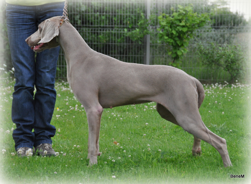 Publication : De Fantaisie De Kerma Auteur : fantaisie de kerma