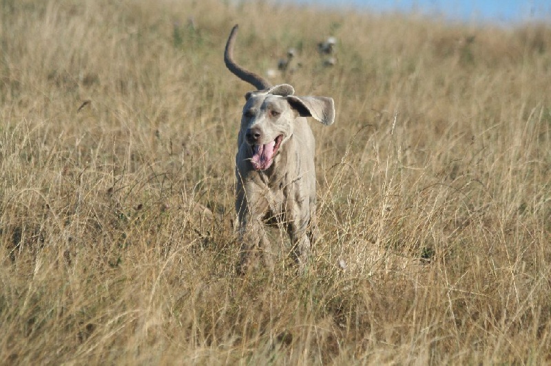 Publication : De Fantaisie De Kerma Auteur : fantaisie de kerma