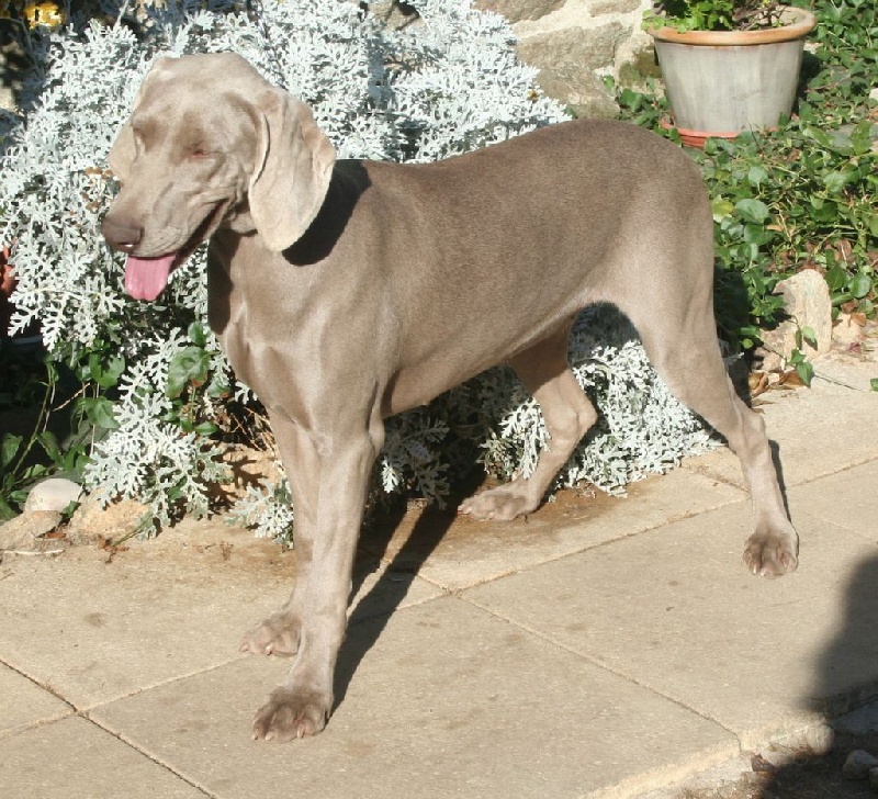 Publication : De Fantaisie De Kerma Auteur : fantaisie de kerma