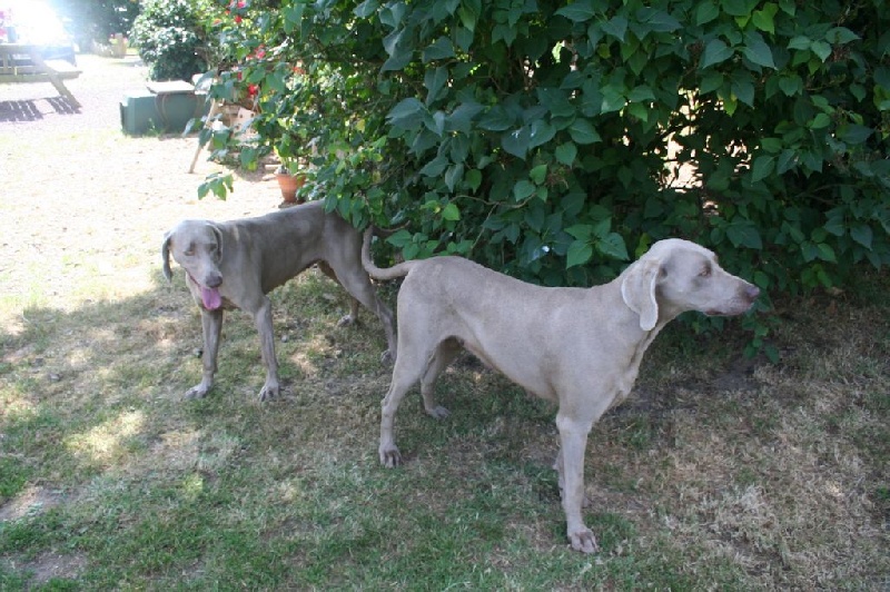 Publication : De Fantaisie De Kerma Auteur : fantaisie de kerma