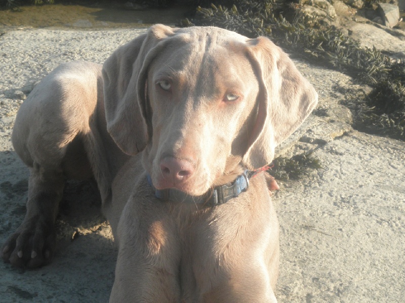 Publication : De Fantaisie De Kerma Auteur : fantaisie de kerma