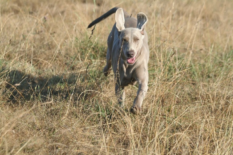 Publication : De Fantaisie De Kerma Auteur : fantaisie de kerma