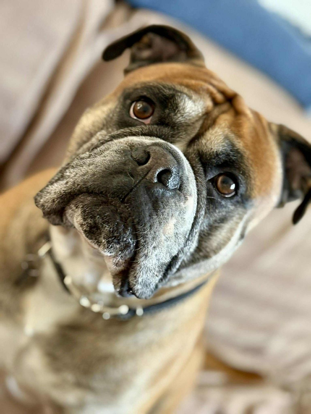 Publication : De La Roche De Balvenie