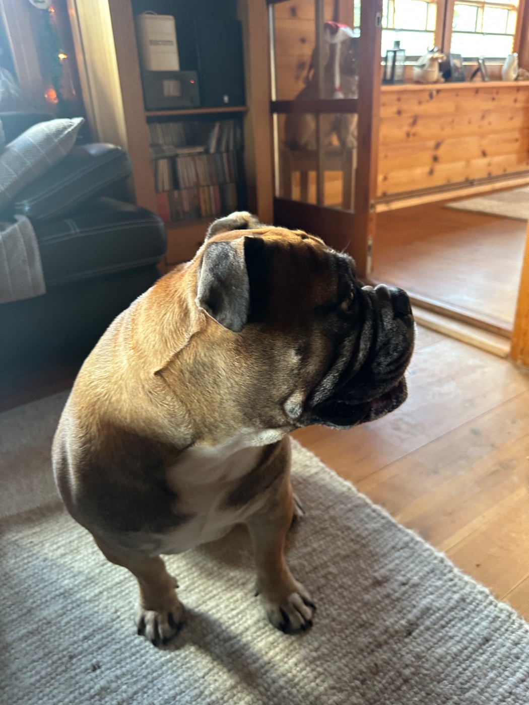 Publication : De La Roche De Balvenie