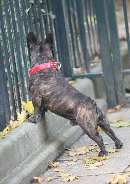 Publication : De La Roche De Balvenie Auteur : num.photography