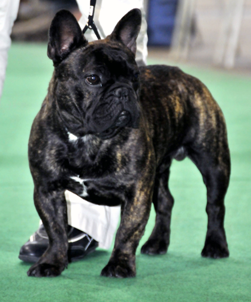 Publication : De La Roche De Balvenie Auteur : num.photography