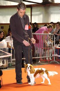 Publication : Style Organdi