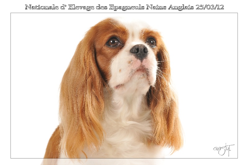 Publication : Style Organdi