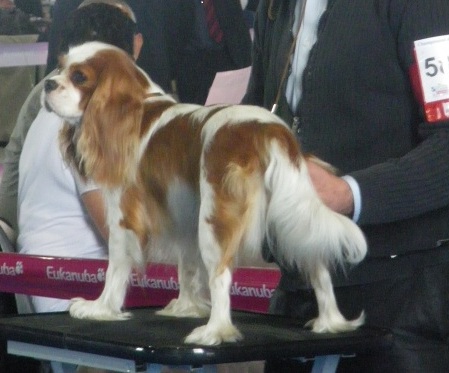 Publication : Style Organdi