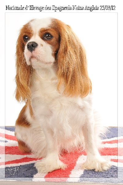 Publication : Style Organdi