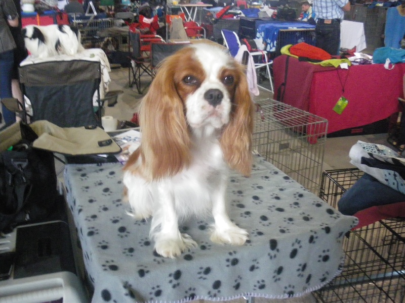 Publication : Style Organdi