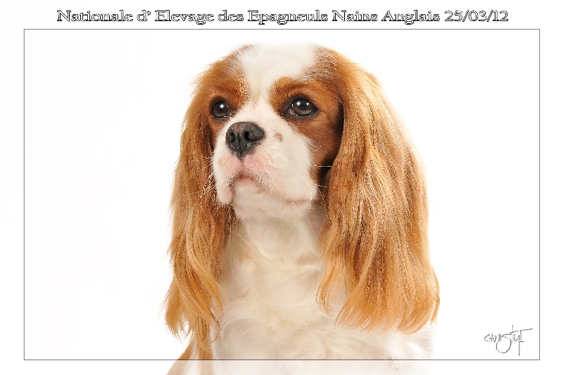 Publication : Style Organdi