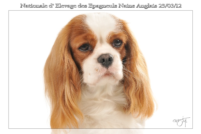 Publication : Style Organdi