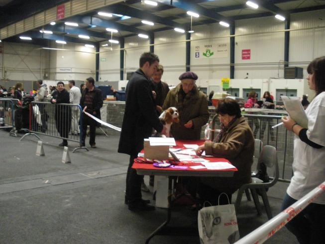 Fendy (Sans Affixe) - Très prometteur