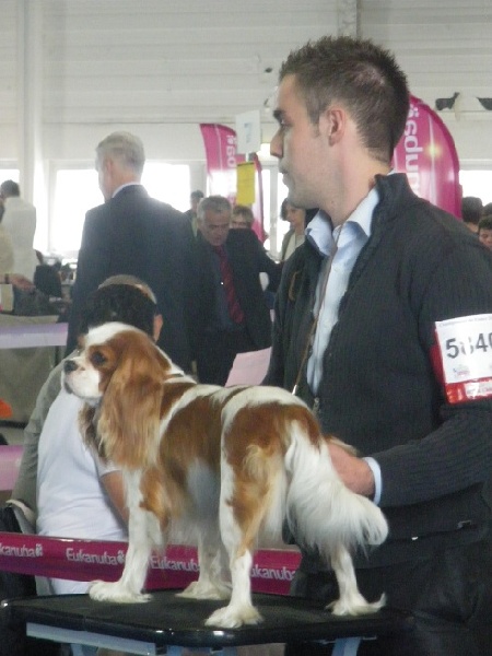 Fendy (Sans Affixe) - TB