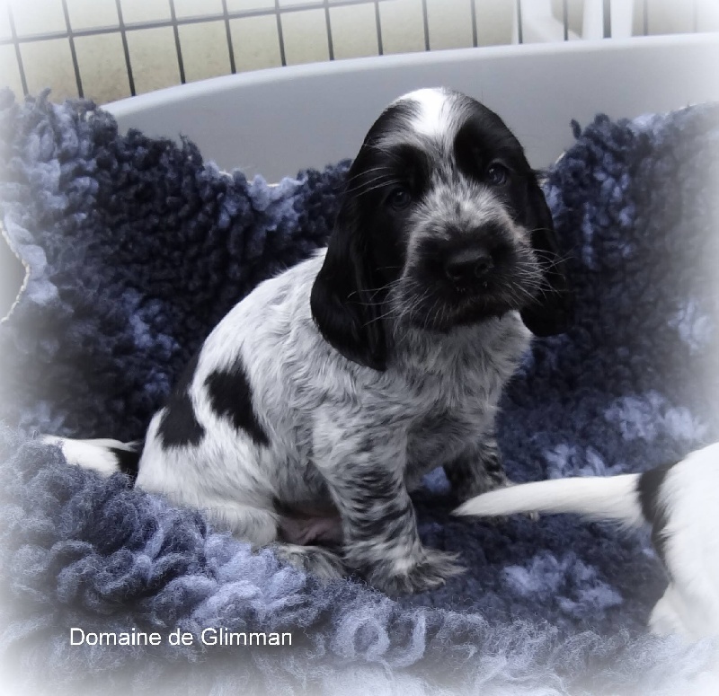 It's only love du Domaine de Glimman