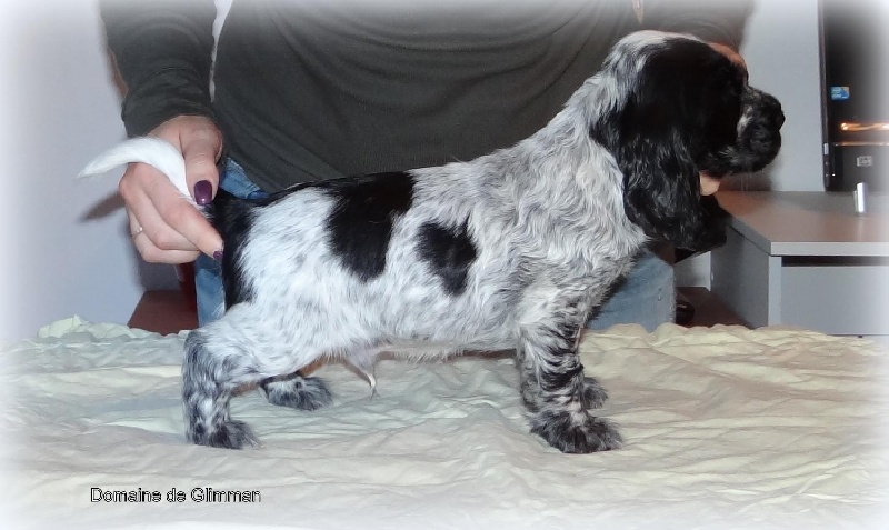 It's only love du Domaine de Glimman