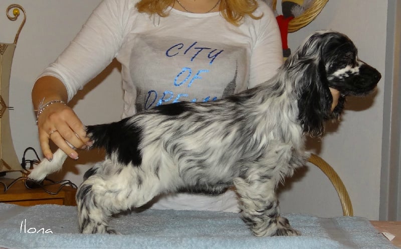 I do it for you du Domaine de Glimman