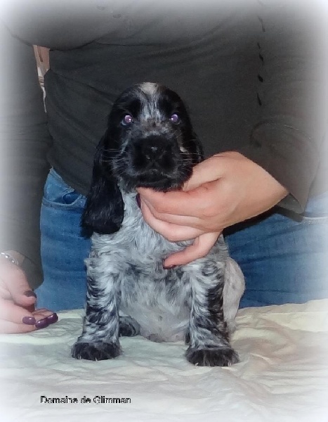 It's only love du Domaine de Glimman